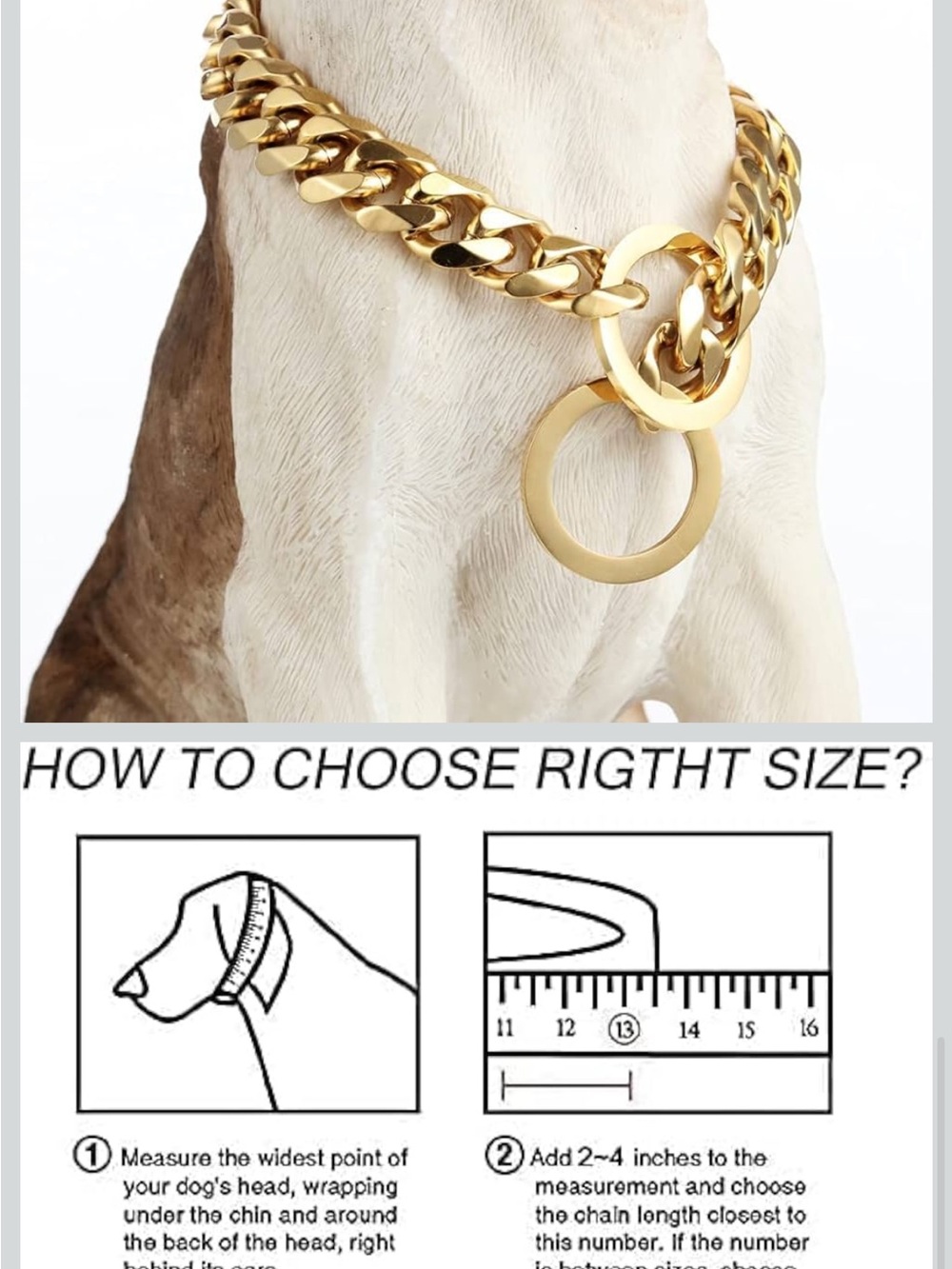 Gold Metal Chain Dog Collar with Dual Rings